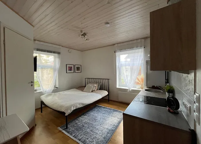 Laura Comfy City Studio Kappeli 8-2 Apartment 29 Near Tallinn Bus Station Airport