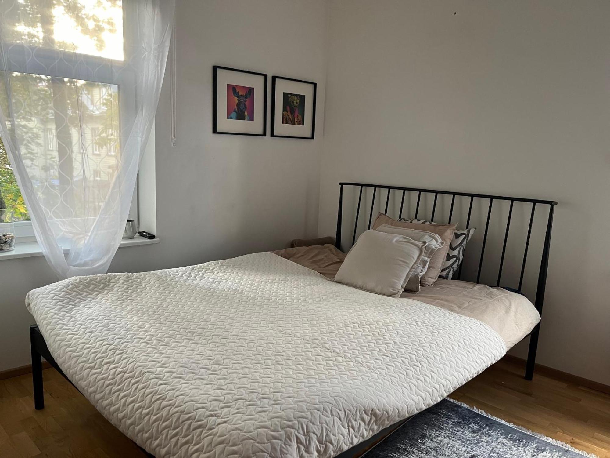 Laura Comfy Kappeli 8-2 29 Near Bus Station Airport Tallinn