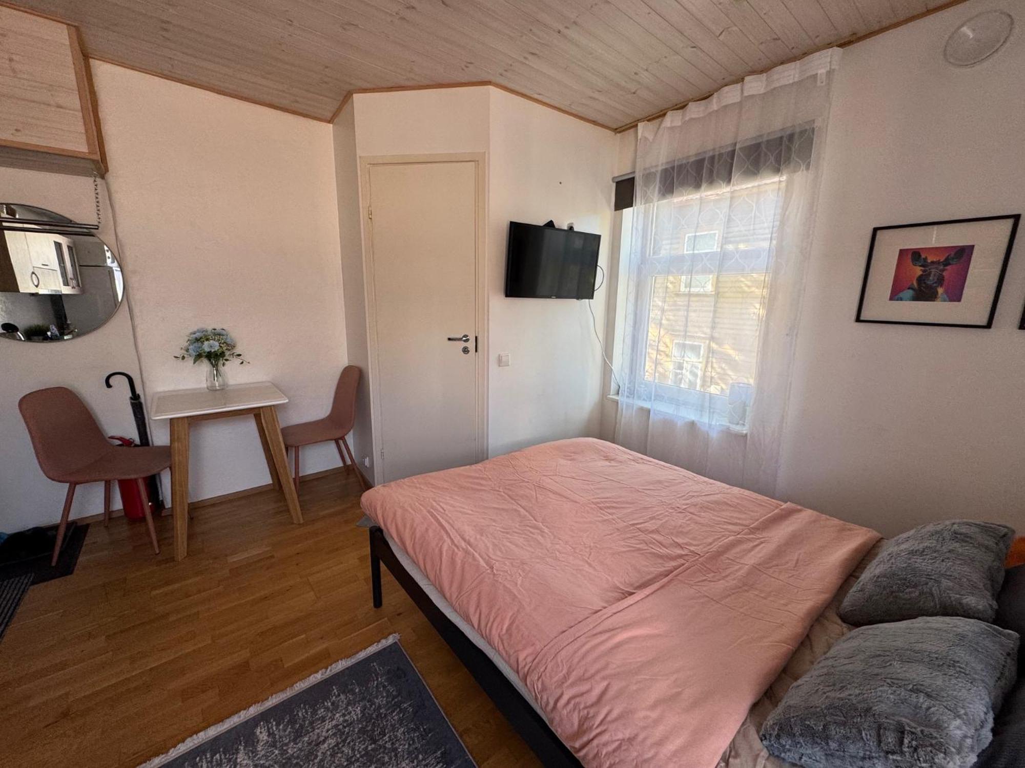 Laura Comfy Kappeli 8-2 29 Near Airport Next To The Bus Station Tallinn